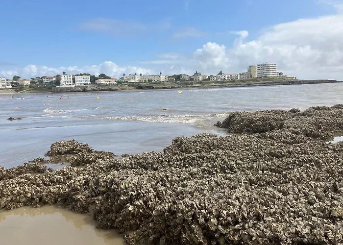 Devant La Et La De Pontaillac, 4chambres 2 A 8 Personnes Villa Royan